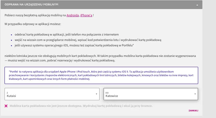 Zdjęcie Karta pokładowa Wizz Air – kiedy ją dostanę i co muszę wiedzieć?