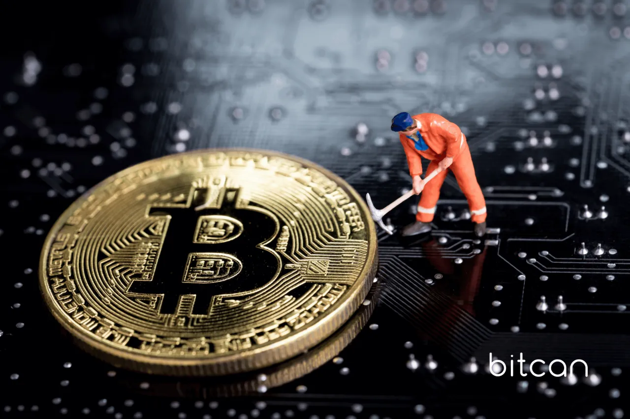 Zdjęcie Jak działa koparka kryptowalut? Poznaj proces wydobywania bitcoina