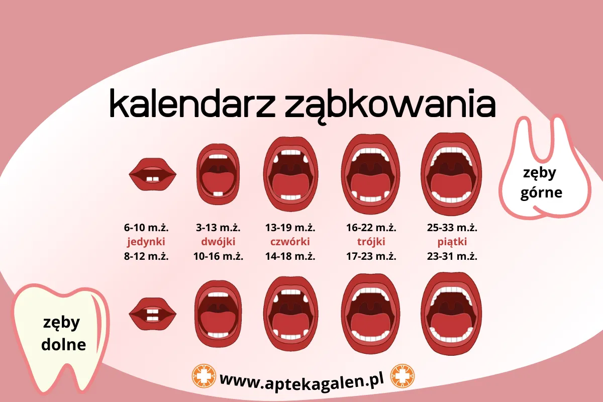 Zdjęcie Jak złagodzić ból ząbkowania u niemowląt i pomóc dziecku