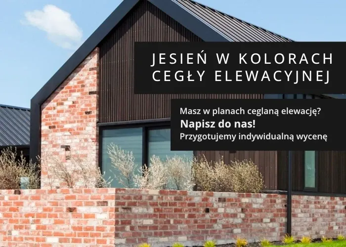 Zdjęcie Ile kosztuje położenie cegły dekoracyjnej? Zaskakujące ceny i czynniki wpływające na koszt