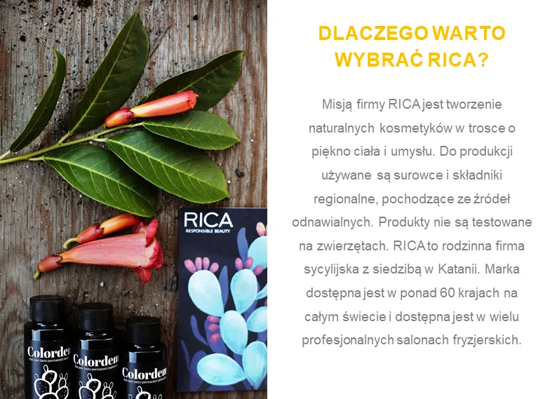 Zdjęcie Najlepsze promocje w salonach fryzjerskich: jak znaleźć okazje na zabiegi