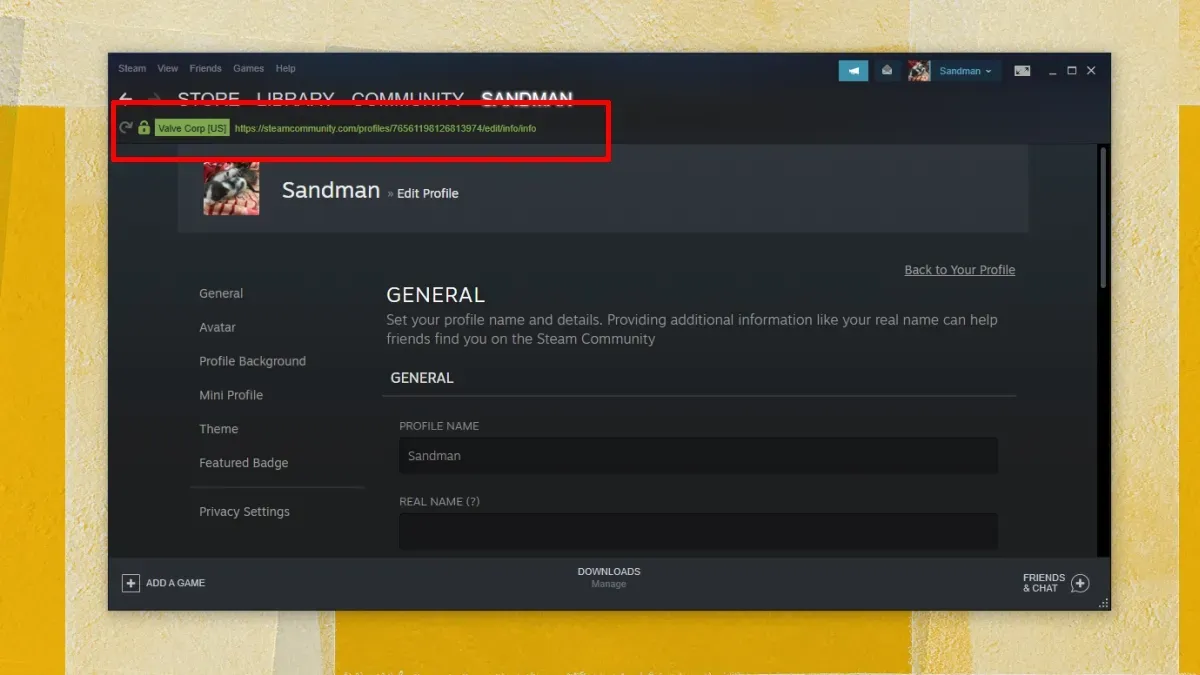Zdjęcie Co to Steam ID i jak może wpłynąć na twoje konto w grach?
