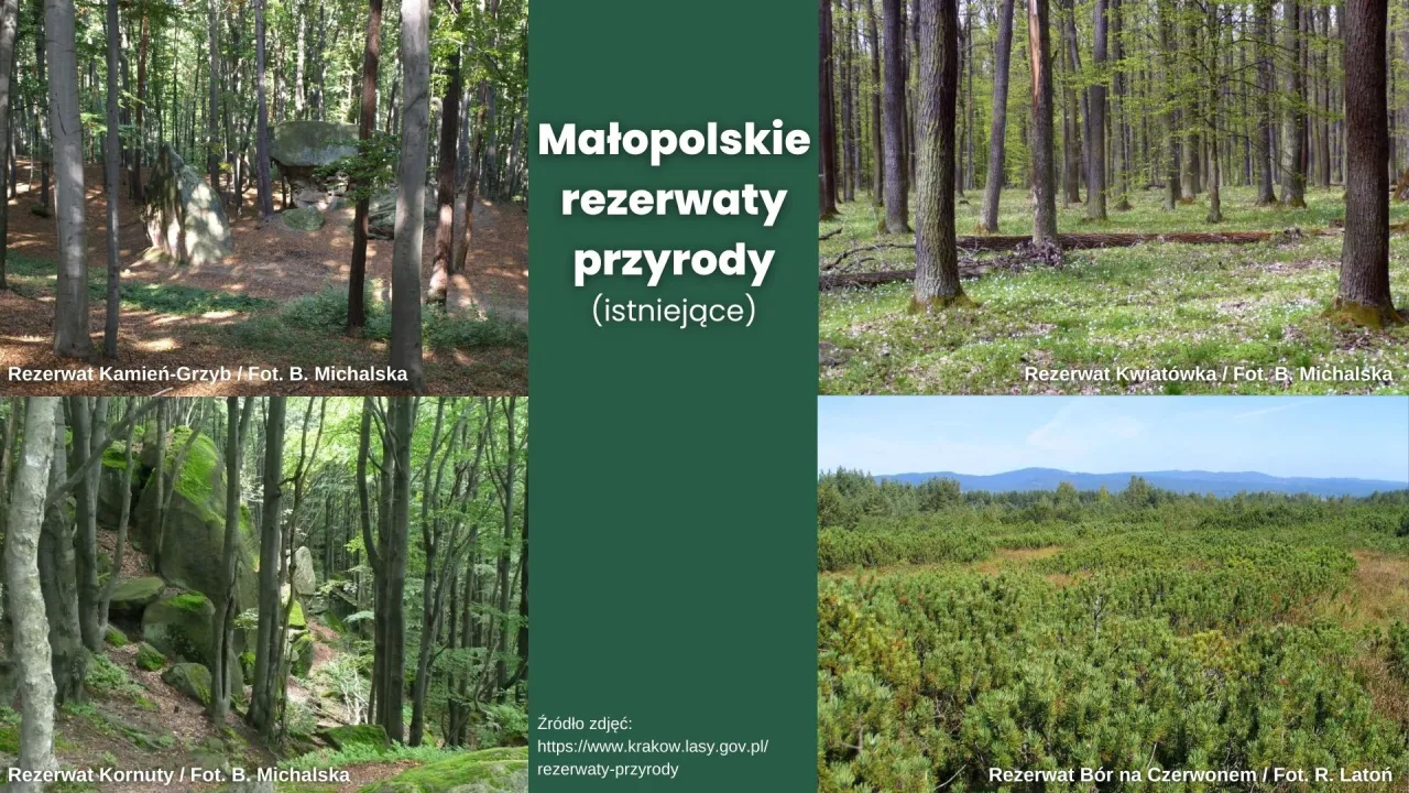 Zdjęcie Rezerwaty przyrody Kraków: Odkryj piękno natury i bioróżnorodność