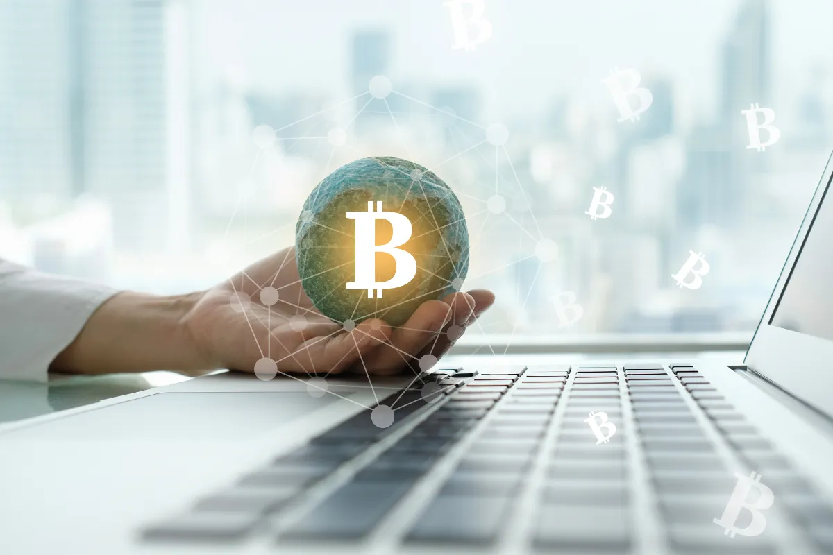 Zdjęcie Gdzie trzymać kryptowaluty, aby uniknąć kradzieży i strat?