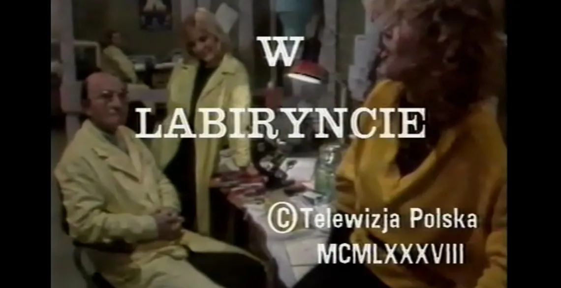 Zdjęcie W labiryncie film o co chodzi: zaskakujące zakończenie i symbolika 23