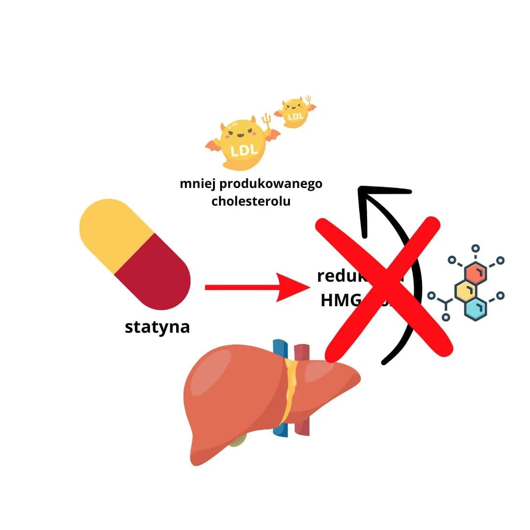 Zdjęcie Jak długo brać leki na cholesterol, aby uniknąć poważnych problemów zdrowotnych?