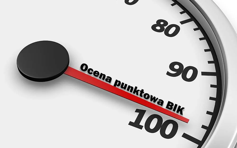 Zdjęcie Jak wyczyścić BIK z chwilówek? Oto co musisz wiedzieć, aby to zrobić