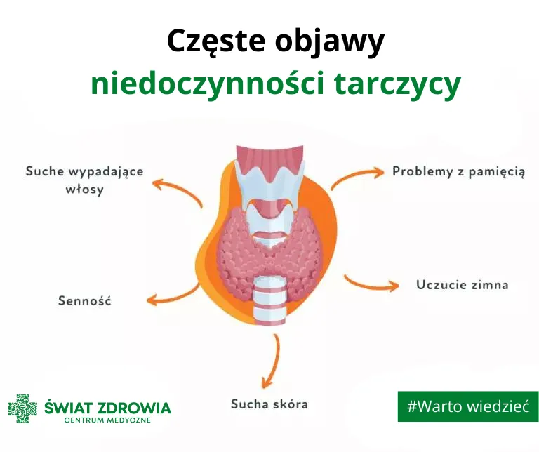 Zdjęcie Niedoczynność tarczycy: poznaj przyczyny, objawy i wpływ na zdrowie