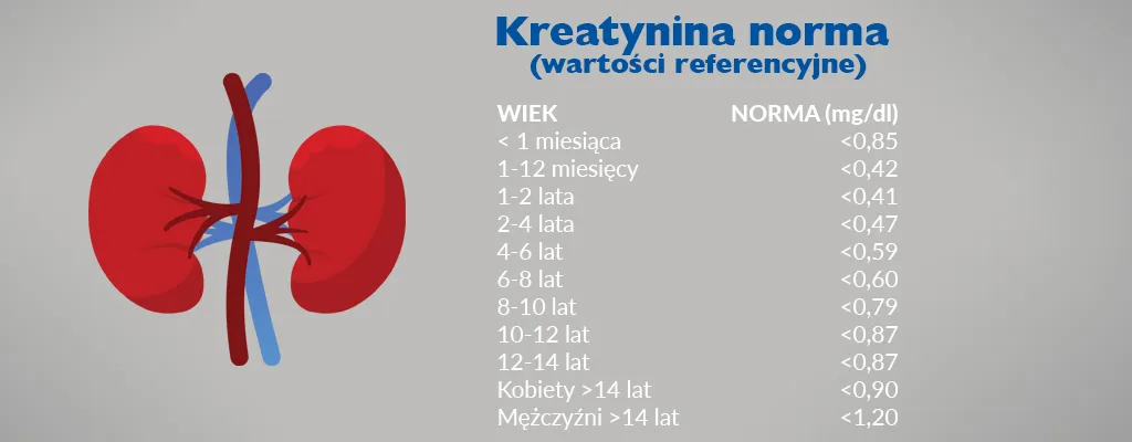 Zdjęcie Podwyższony poziom kreatyniny: co oznacza i kiedy powinien niepokoić?