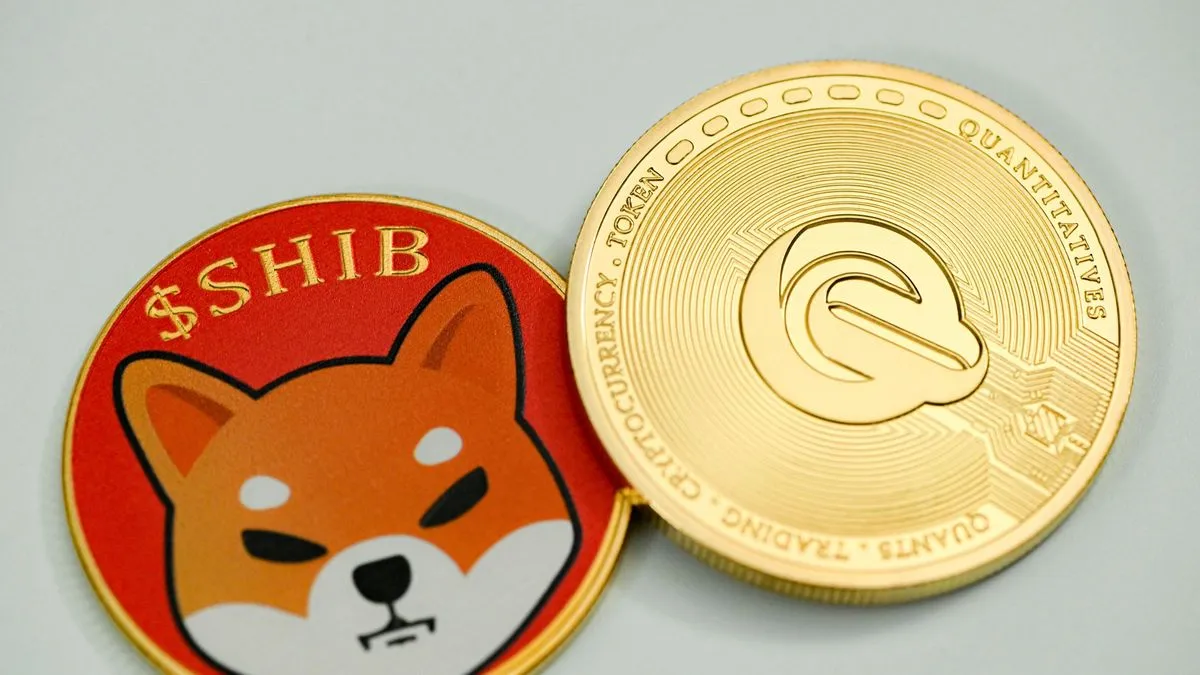 Zdjęcie Posiadacze shiba inu migrują do nowego krypto ICO, aby polować na tokeny z 1000% ROI