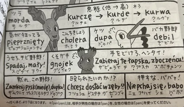 Zdjęcie Czy w jakimś kraju uczą się polskiego? Oto zaskakujące odpowiedzi