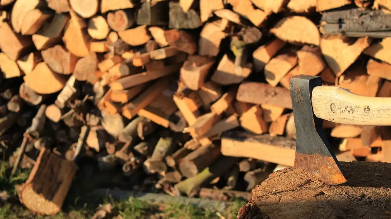 Zdjęcie Ile można zarobić na sprzedaży drewna kominkowego? Sprawdź realia rynku