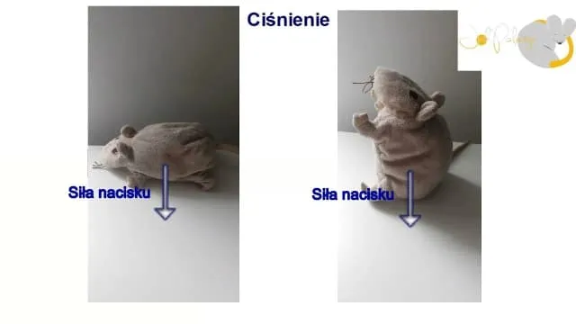 Zdjęcie Jak uzyskać odpis aktu małżeństwa - krok po kroku bez zbędnych kosztów