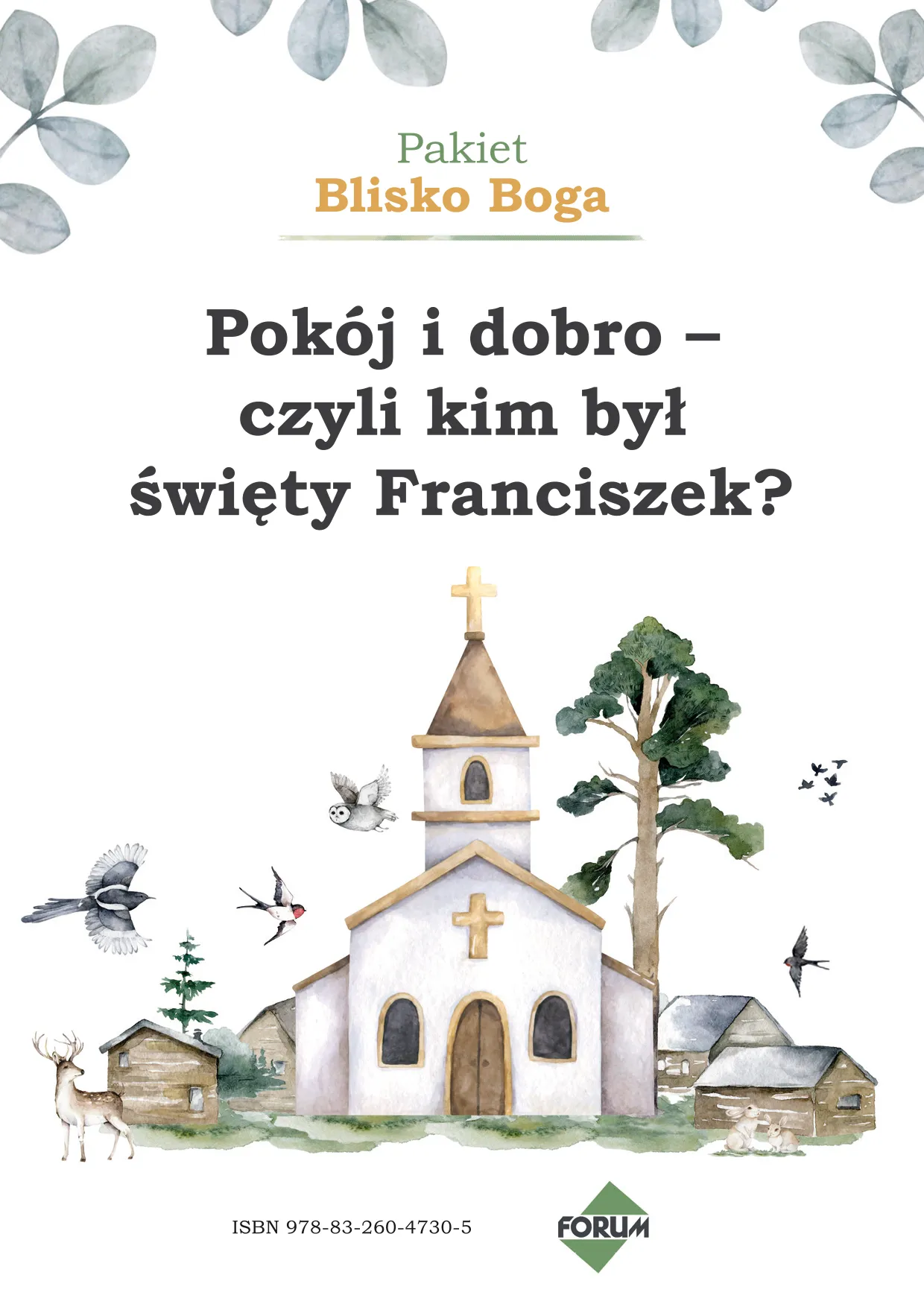 Zdjęcie Kim był święty Franciszek - życie, nauki i miłość do natury