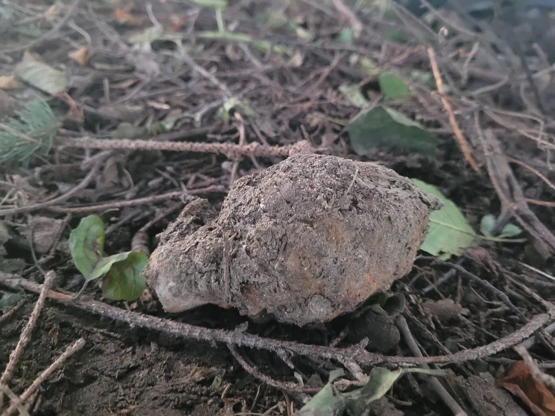 Zdjęcie Niebezpieczne znaleziska: granat z garażem zdjęcia i ostrzeżenia