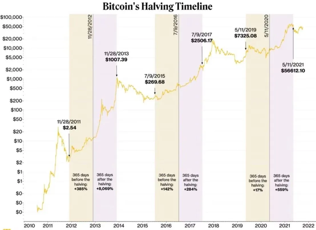 Zdjęcie Kiedy kupować kryptowaluty a kiedy sprzedawać, aby uniknąć strat