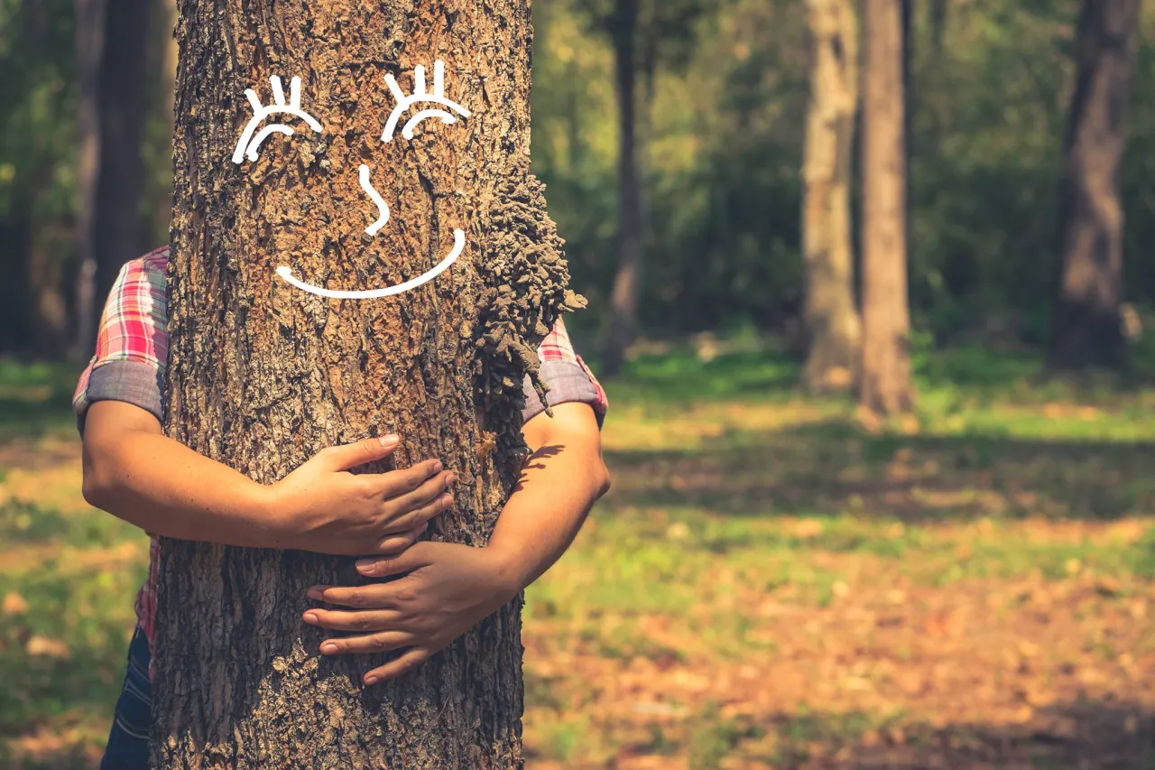 Zdjęcie A Árbore da Escola: un viaje emocional a través de la naturaleza y la amistad