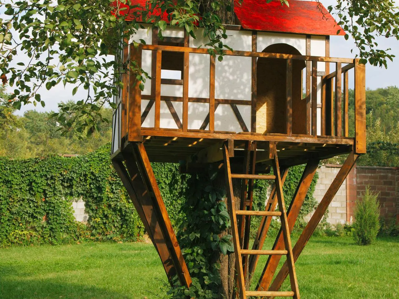 Zdjęcie Jak zbudować domek na drzewie DIY: bezpieczne i kreatywne pomysły