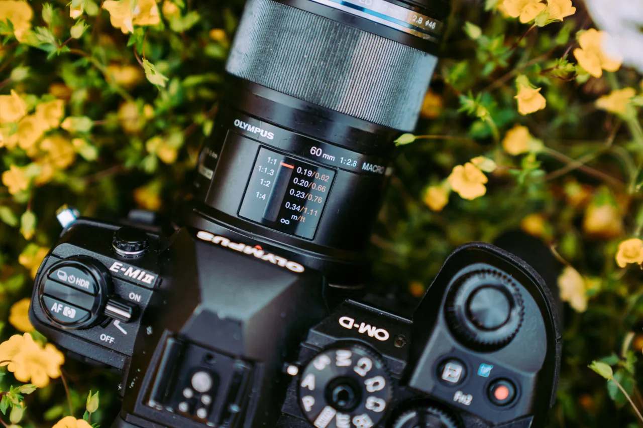 Zdjęcie Najlepsze obiektywy do makro Nikon D7100 - wybierz idealny dla siebie