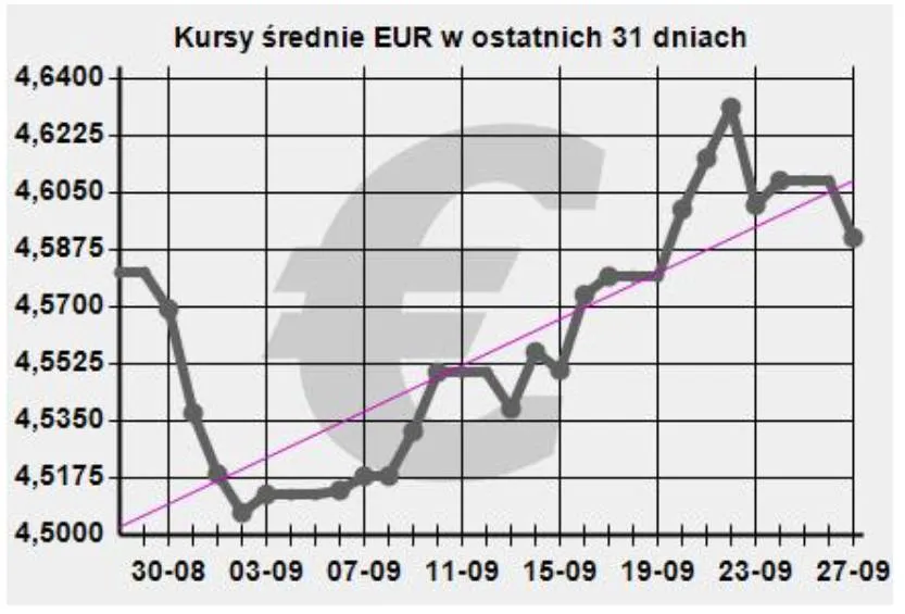 Zdjęcie Kupno euro w NBP: Prosty przewodnik bez ukrytych kosztów i pułapek