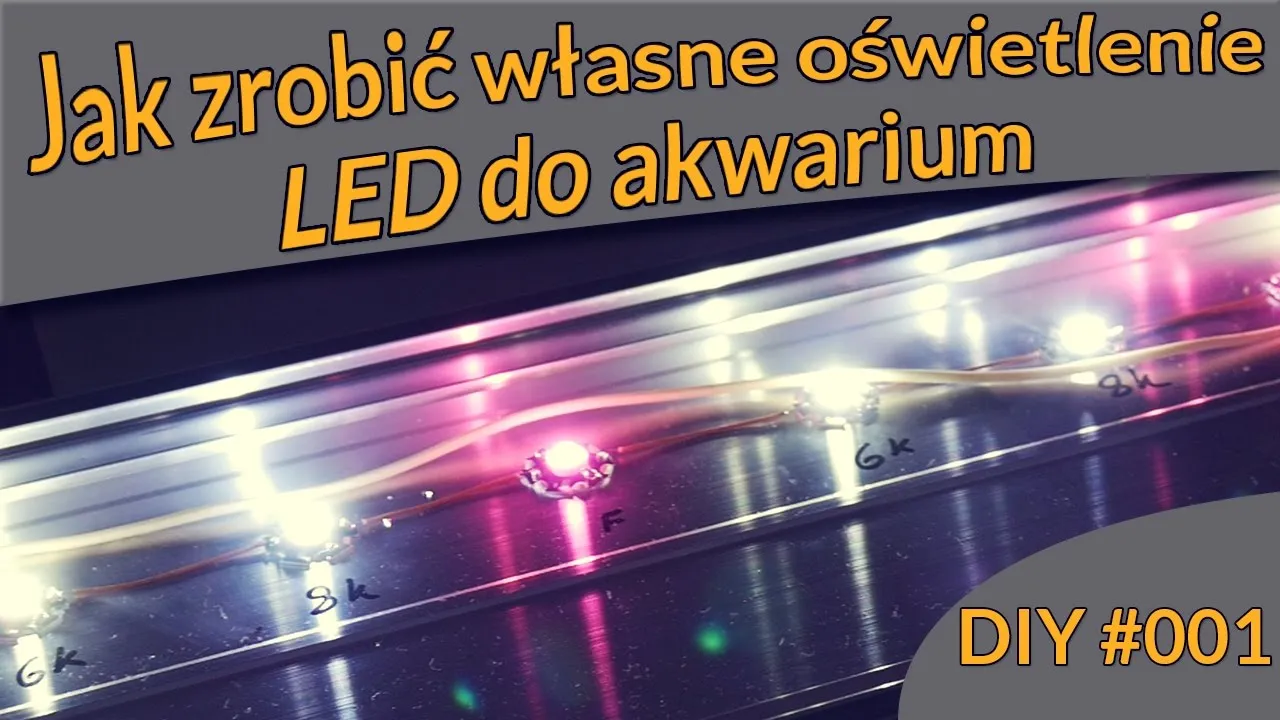Zdjęcie Jak zrobić oświetlenie do akwarium, aby uniknąć problemów z roślinami