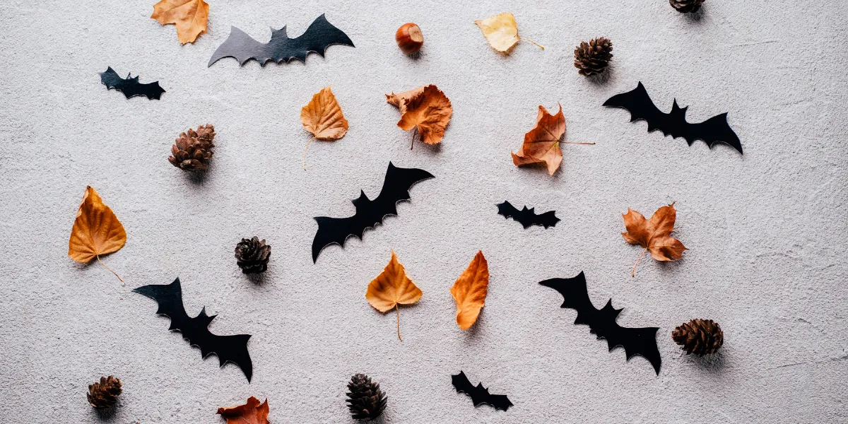 Zdjęcie Jak zrobić strój nietoperza - proste instrukcje i materiały