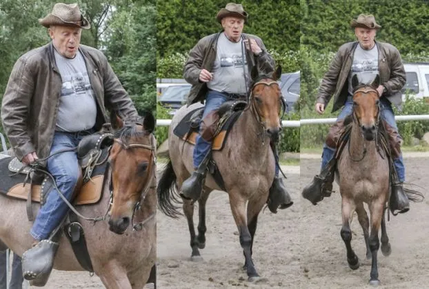 Zdjęcie Czy można jeździć konno po alkoholu? Poznaj konsekwencje i ryzyko