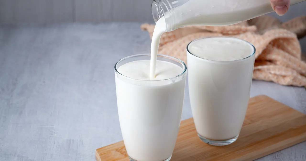 Zdjęcie Codzienne picie kefiru: Korzyści dla jelit, odporności i wagi