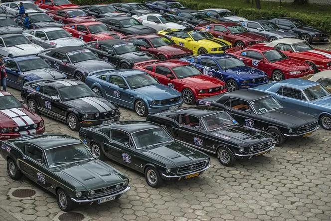 Zdjęcie Oto wszystkie miejsca, w których odbędzie się zlot mustangów - aktualna lista