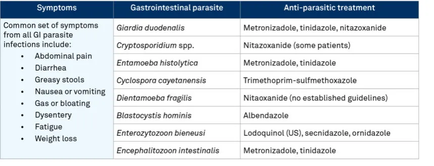 Zdjęcie Blastocystis hominis - charakterystyka, objawy i naturalne leczenie