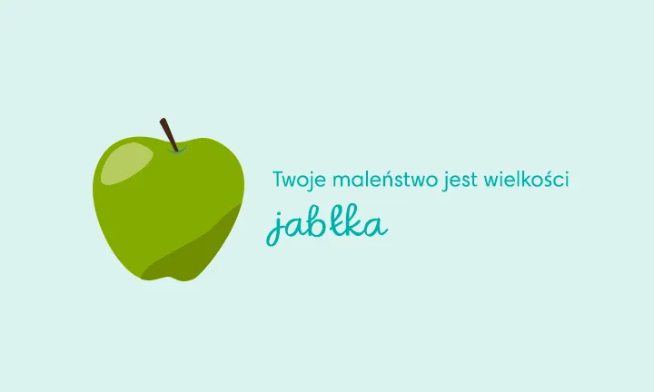 Zdjęcie 16 tydzień ciąży ile cm ma dziecko - co powinieneś wiedzieć o rozwoju