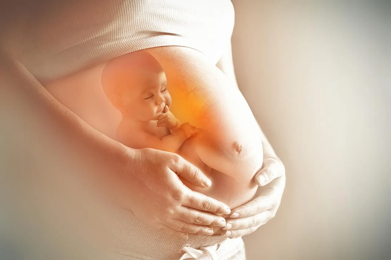 Zdjęcie Kiedy płód jest dzieckiem? Biologiczne i prawne aspekty rozwoju