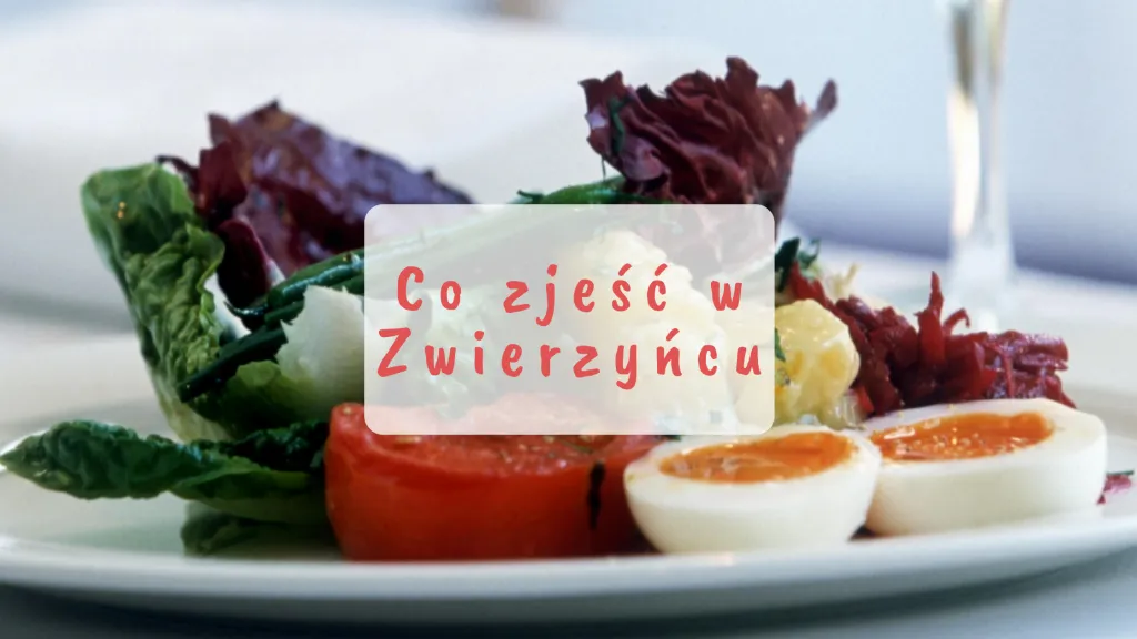 Zdjęcie Gdzie zjeść w Zwierzyńcu? Odkryj najlepsze lokalne restauracje