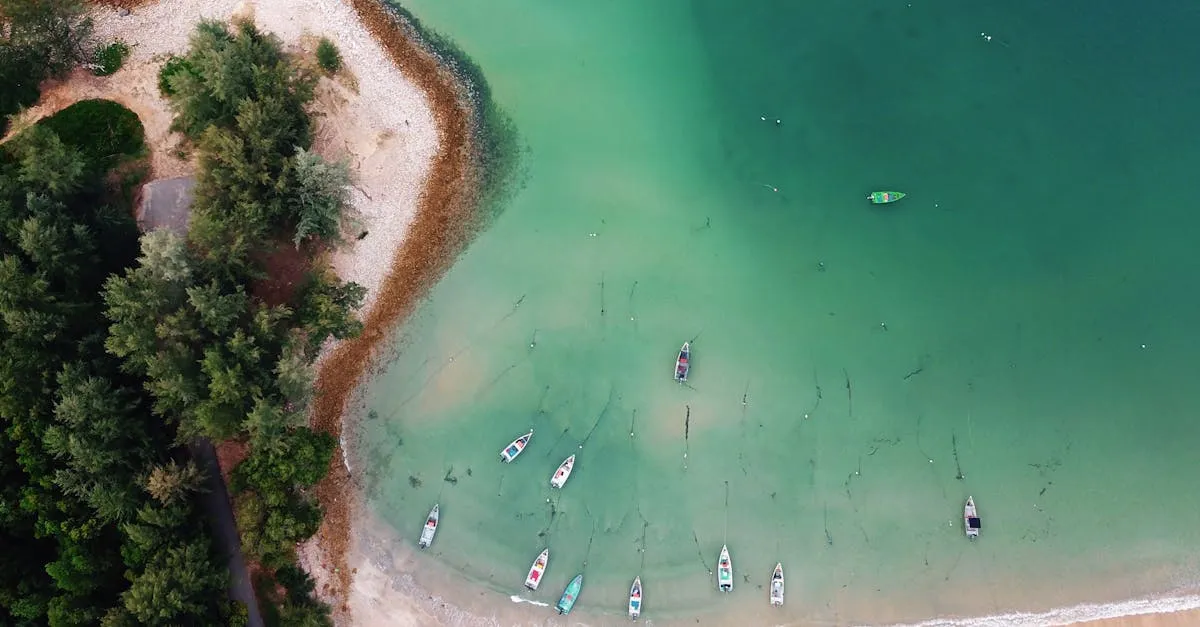 Zdjęcie Plaża w Orłowie: Czy to najpiękniejszy fragment gdyńskiej plaży?