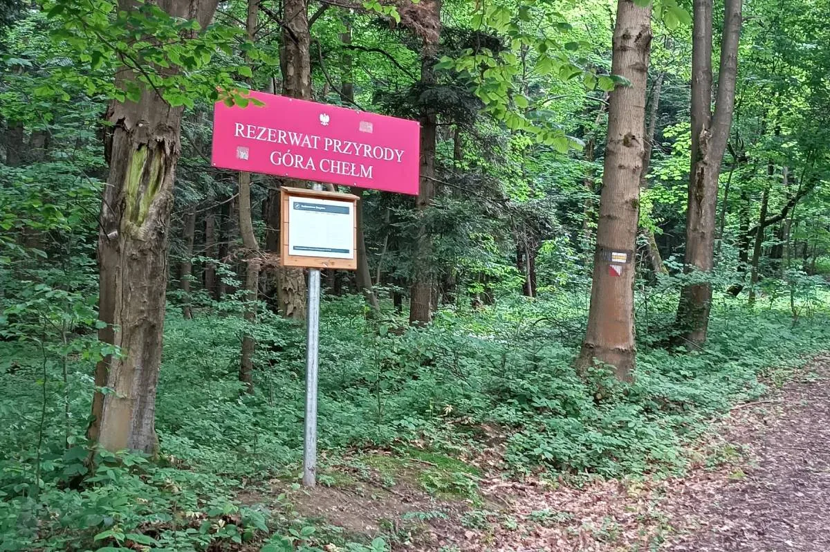 Zdjęcie Rezerwat przyrody Chmiel - Odkryj jego unikalne piękno i atrakcje