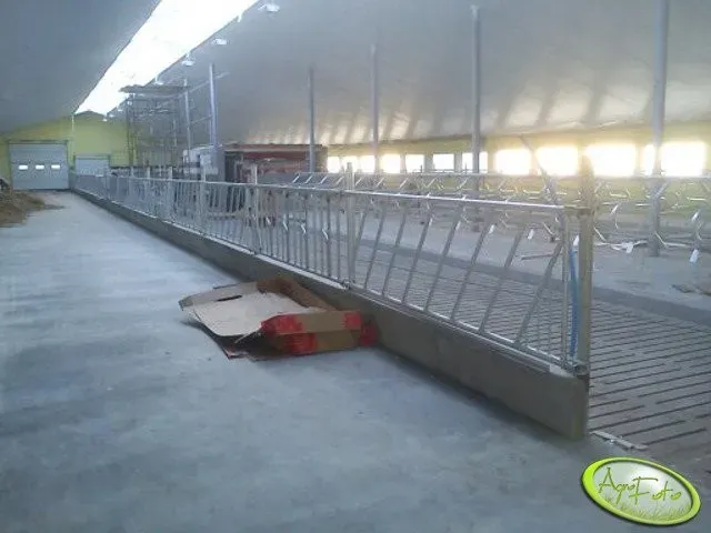 Zdjęcie Ile kosztuje budowa obory na 30 sztuk bydła? Poznaj ukryte wydatki