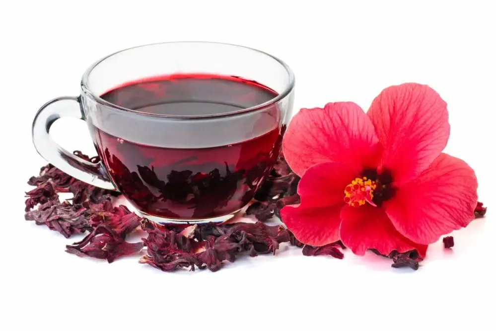 Zdjęcie Jaki hibiskus wybrać na aromatyczną herbatę - wszystko co musisz wiedzieć