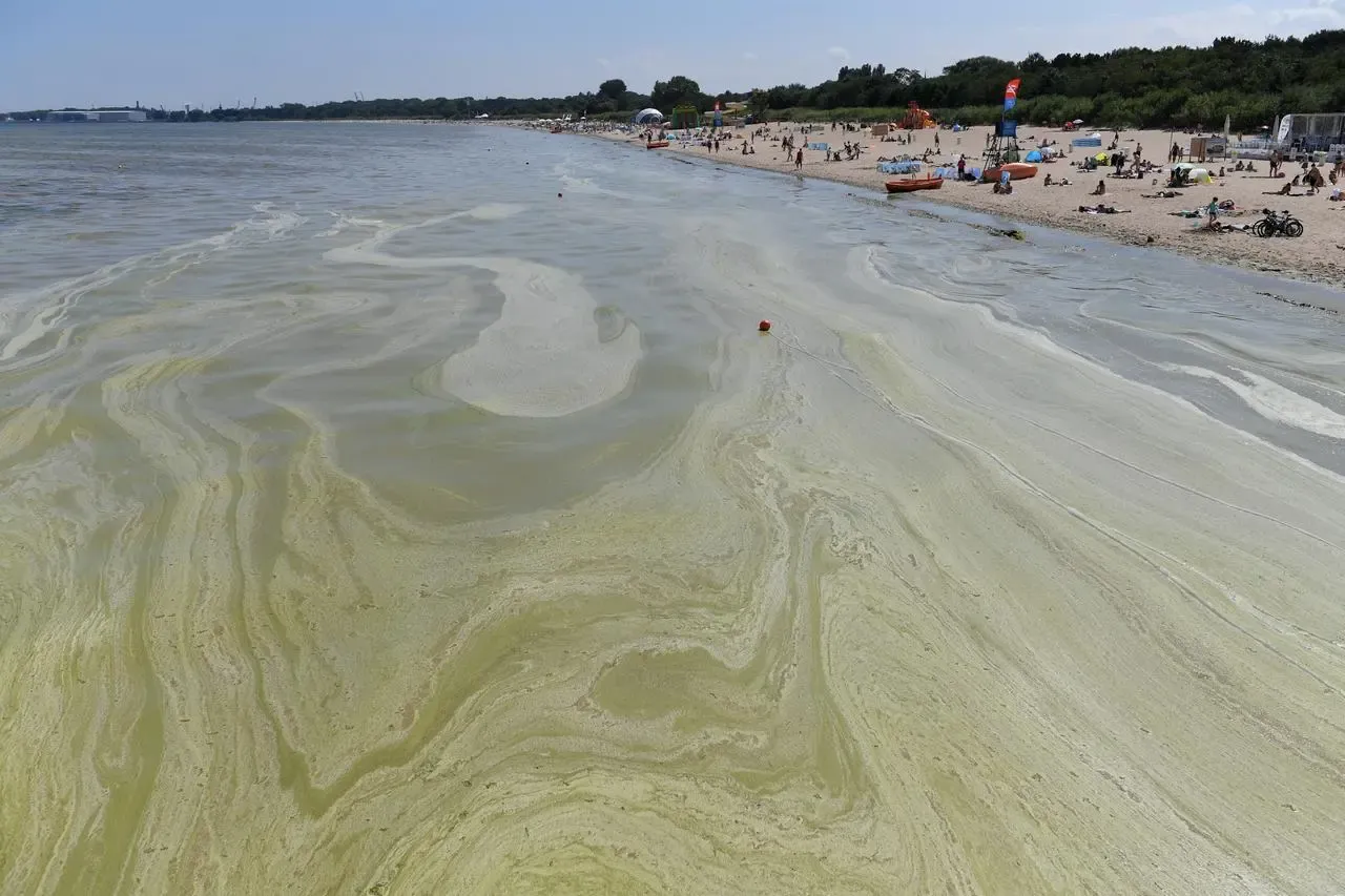 Zdjęcie Gdzie sinice w Bałtyku? Sprawdź niebezpieczne plaże i zagrożenia