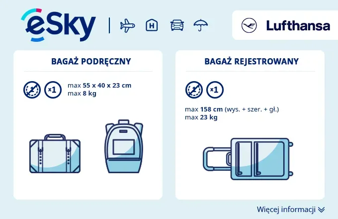 Zdjęcie Lufthansa bagaż rejestrowany - co możesz zabrać i czego unikać