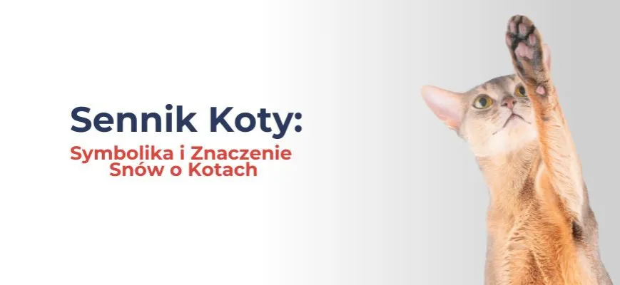 Zdjęcie Co oznacza sen o dużej liczbie kotów - symbolika i przepowiednia senna