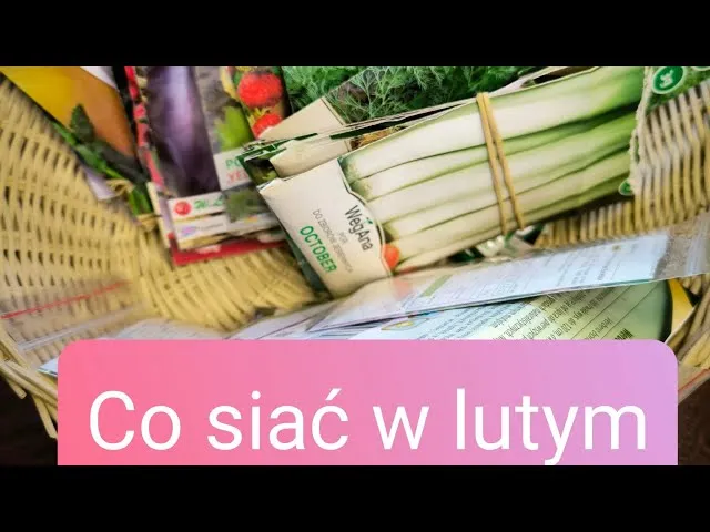 Zdjęcie Co siać w lutym, aby cieszyć się wczesnymi plonami i pięknem ogrodu