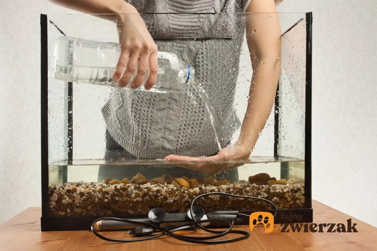 Zdjęcie Jaka woda do akwarium? Wybierz idealną dla swoich ryb