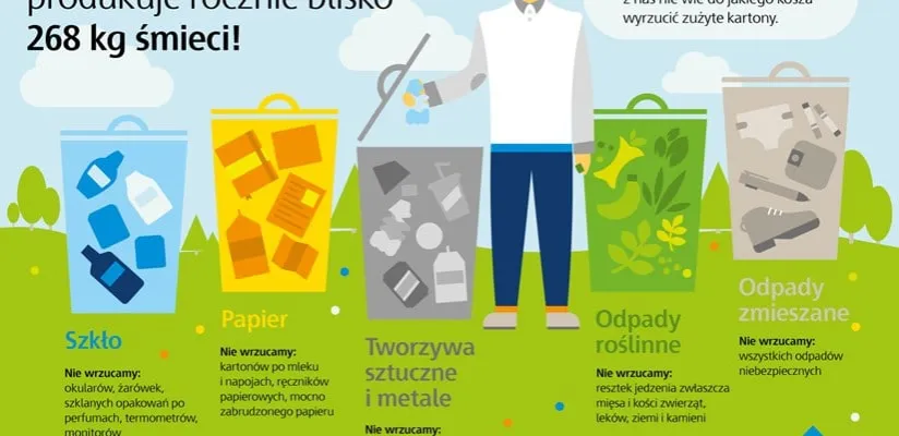 Zdjęcie Gdzie wyrzucić karton? Praktyczne porady, by uniknąć błędów w segregacji