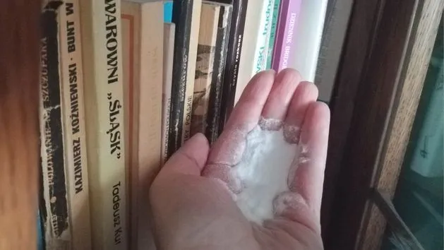 Zdjęcie Skuteczne sposoby na usunięcie zapachu stęchlizny z książek
