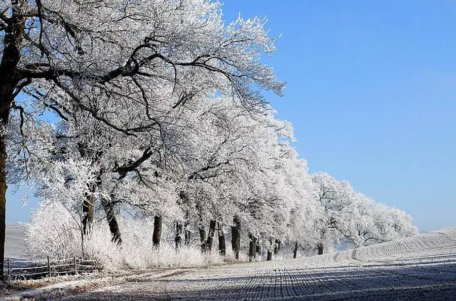 Zdjęcie USA zima: Warunki pogodowe i prognozy na sezon zimowy 2025