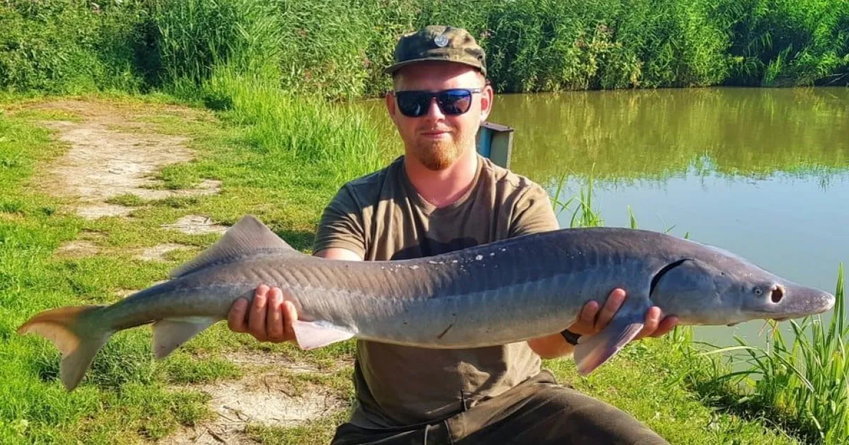 Zdjęcie Gdzie na ryby bez karty Radom? Odkryj łowiska bez licencji