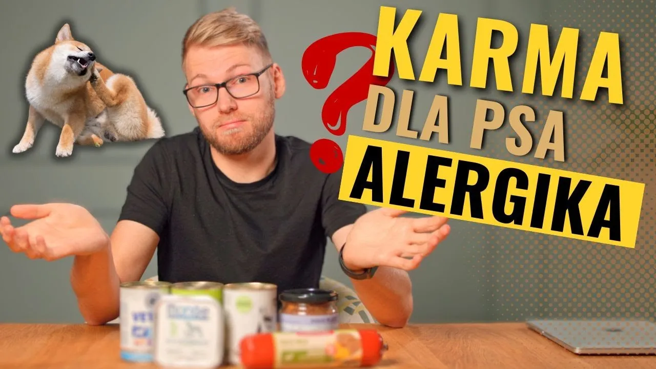 Zdjęcie Karma dla psa alergika: jak wybrać najlepszą? Przewodnik