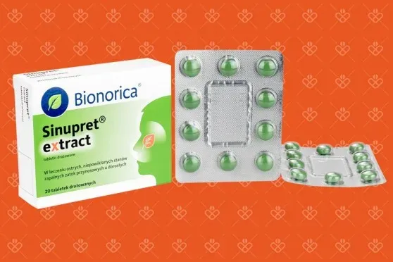 Zdjęcie Na co jest lek Sinupret i jak może złagodzić ból zatok?