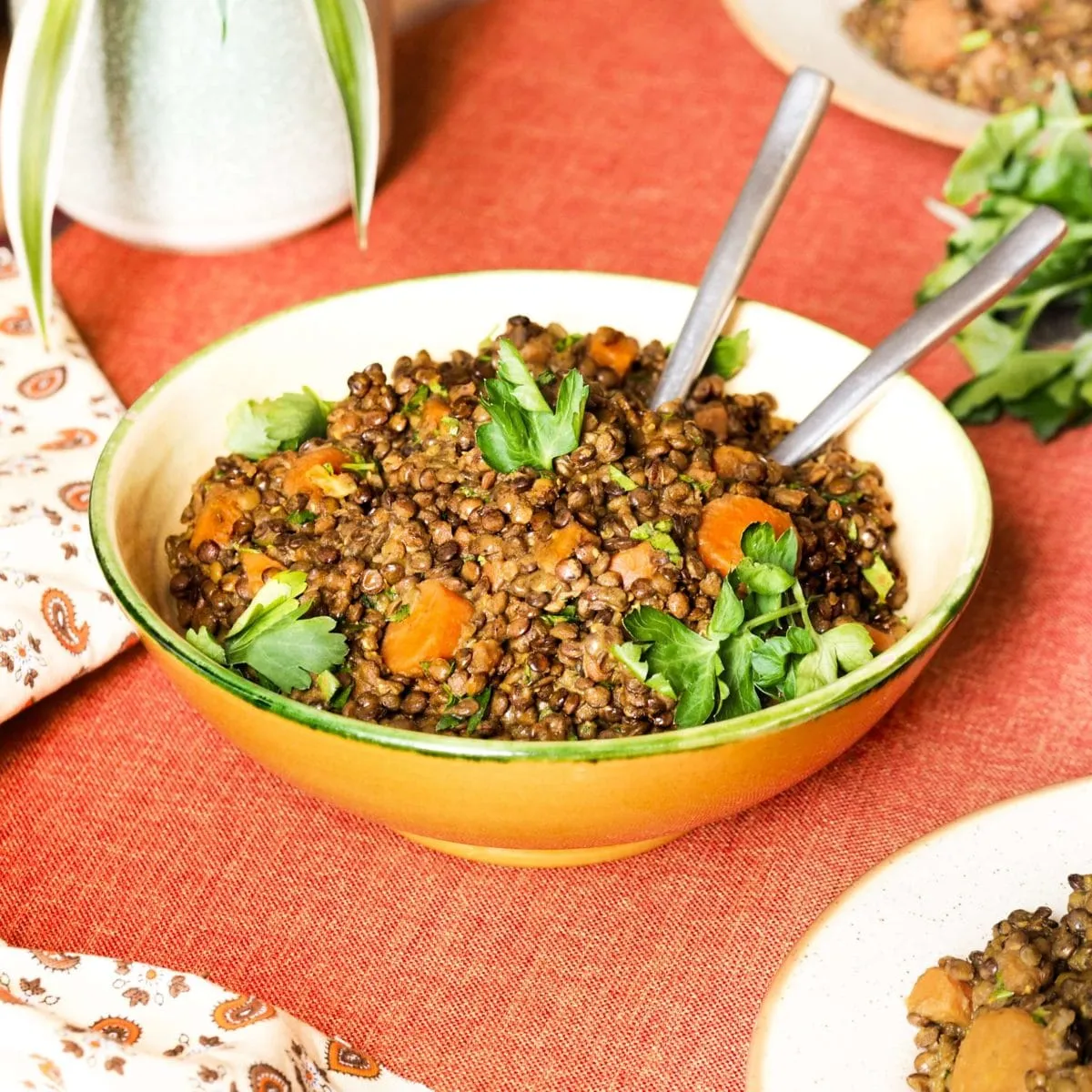 Zdjęcie Quelles épices avec les lentilles vertes pour un plat savoureux ?