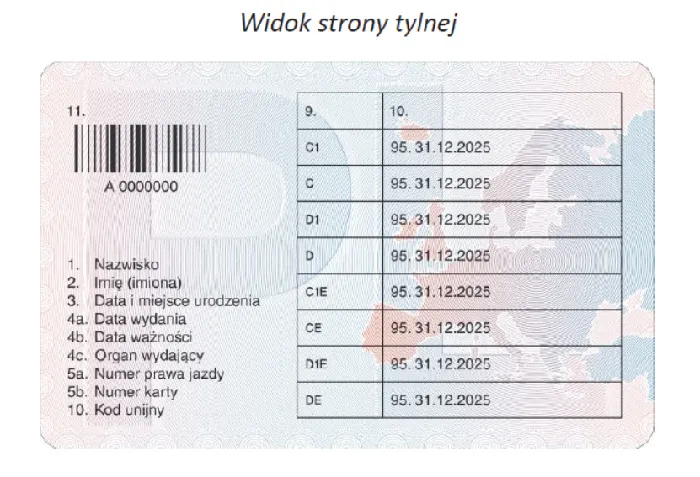 Zdjęcie Jak uzyskać profil kierowcy - co trzeba wiedzieć, aby uniknąć problemów